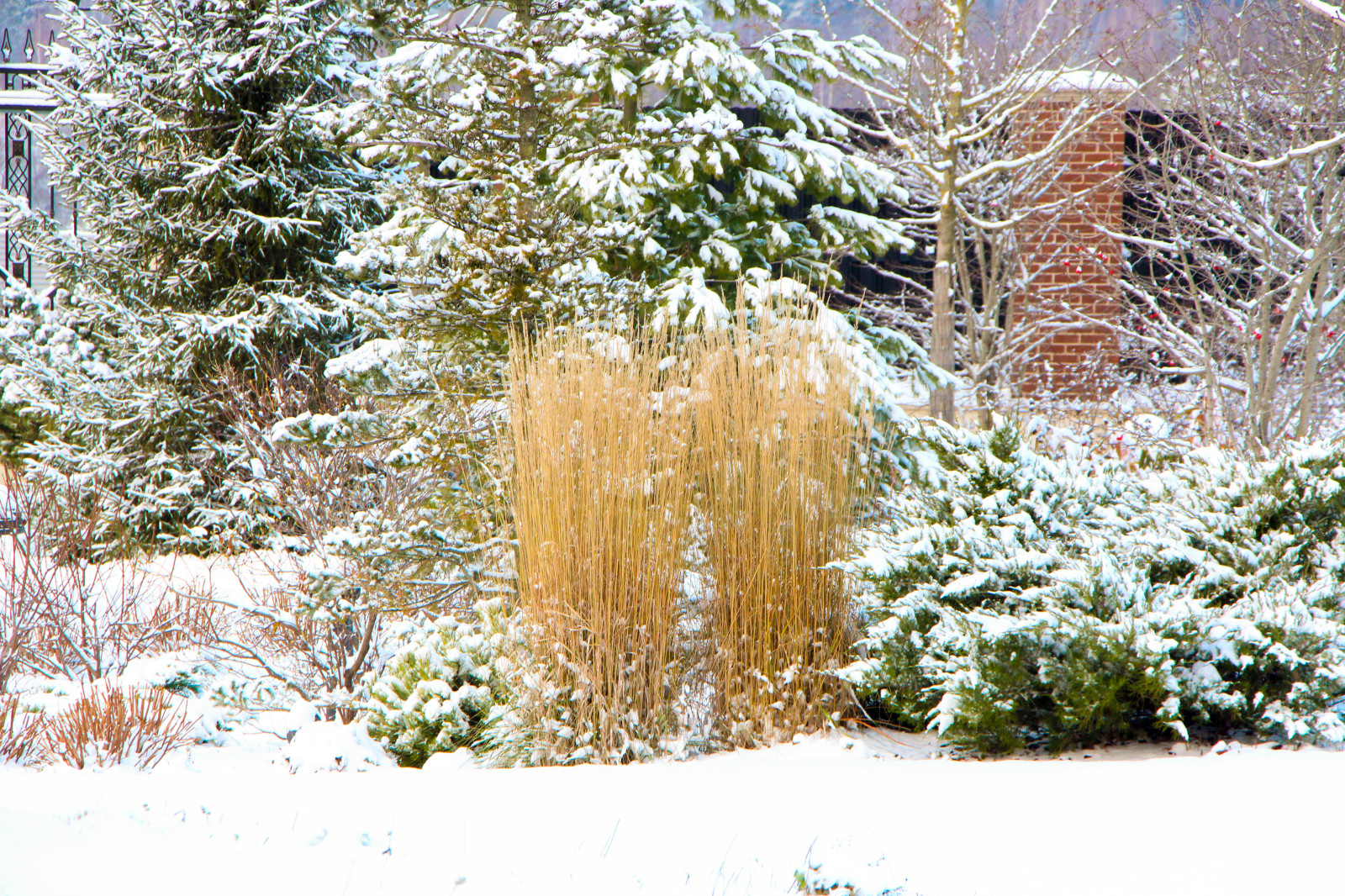 Горки-10, 2017-2020 г.г.