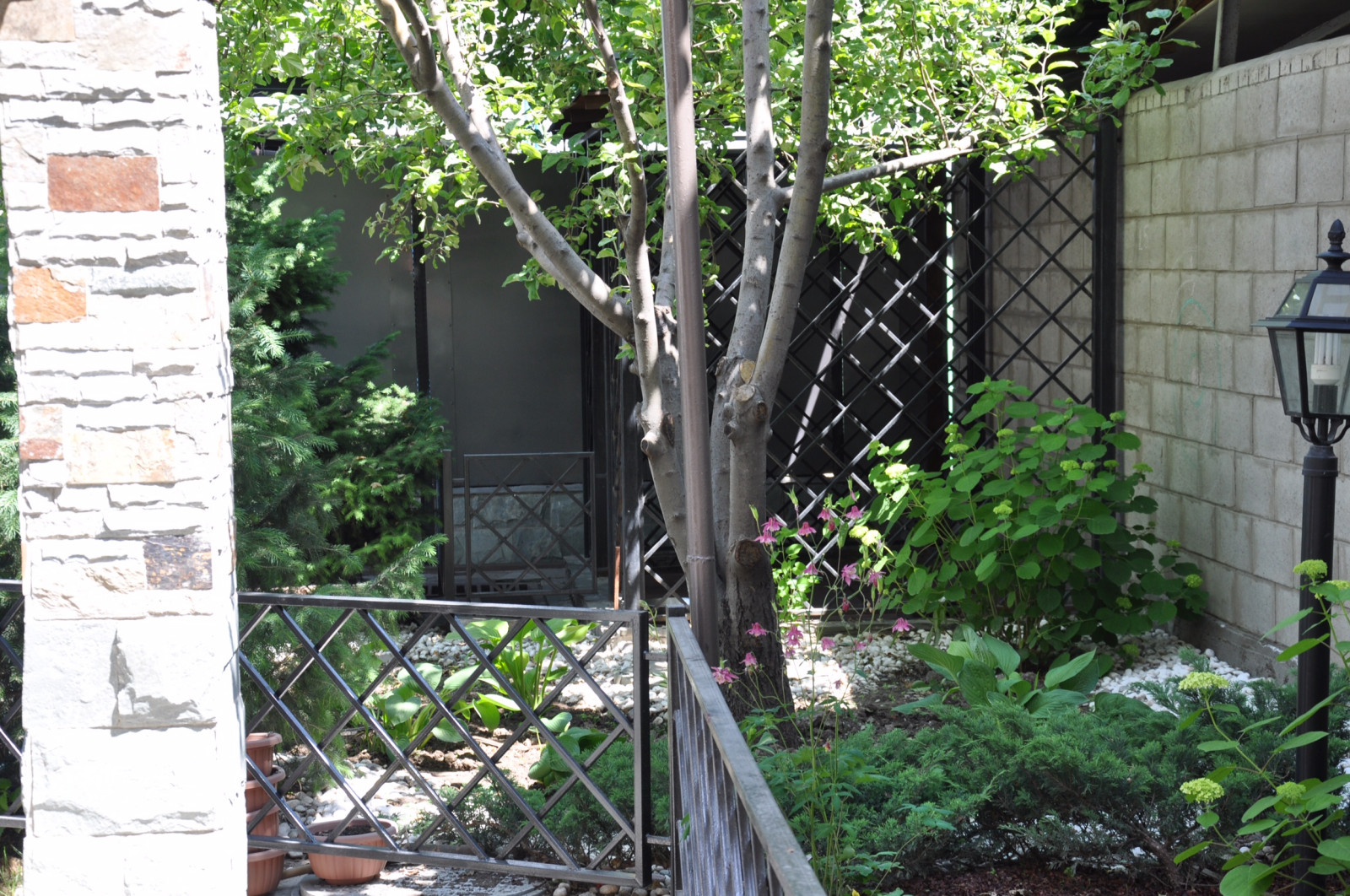 «Семейное гнездо»