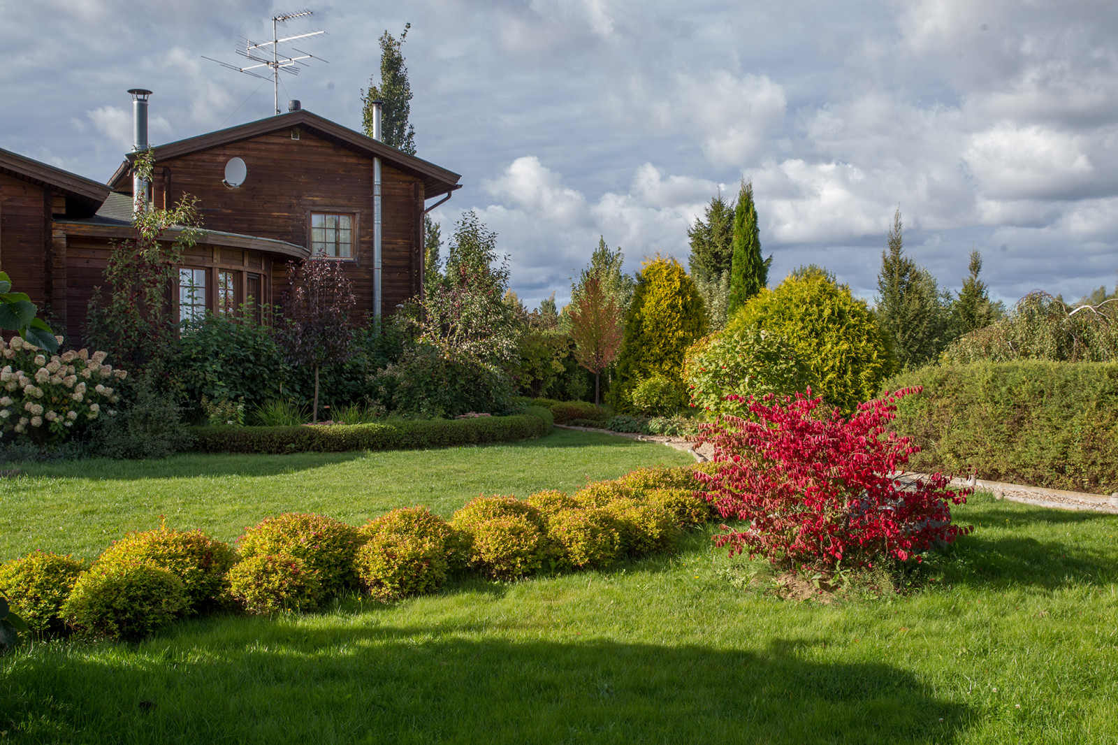 Парк в  Шаховском районе