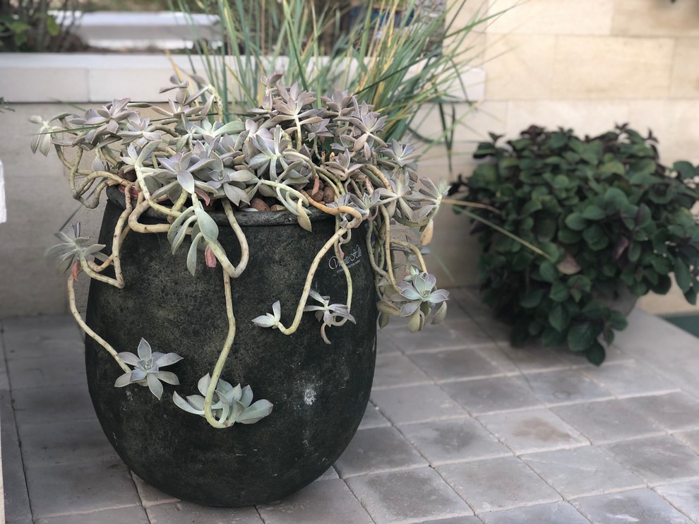 Обложка проекта: Водный сад для таунхауса