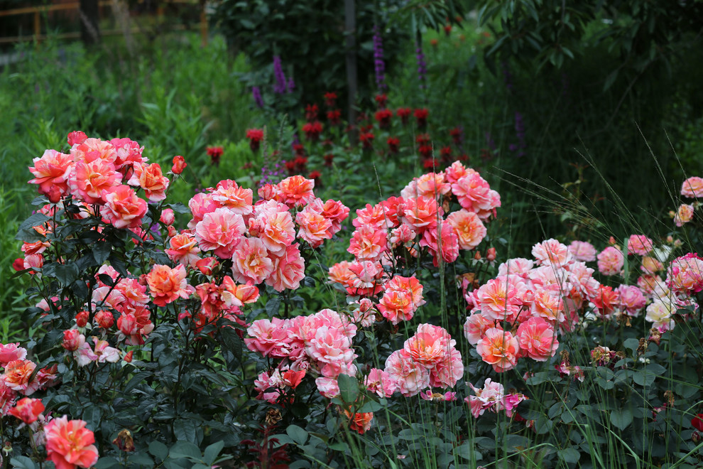 Проект недели: Абстрактная картина вместо запущенного сада