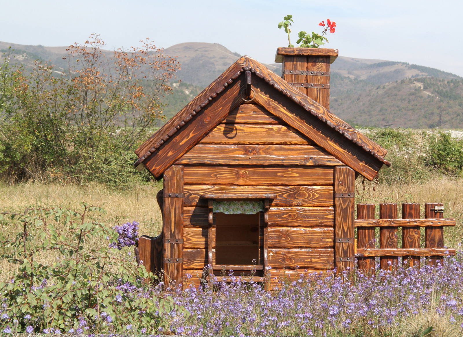 Будка для собаки с окошком и забором