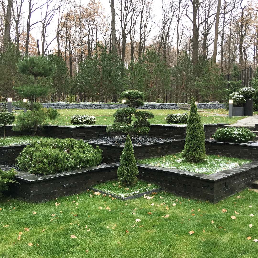 Мария Шумская