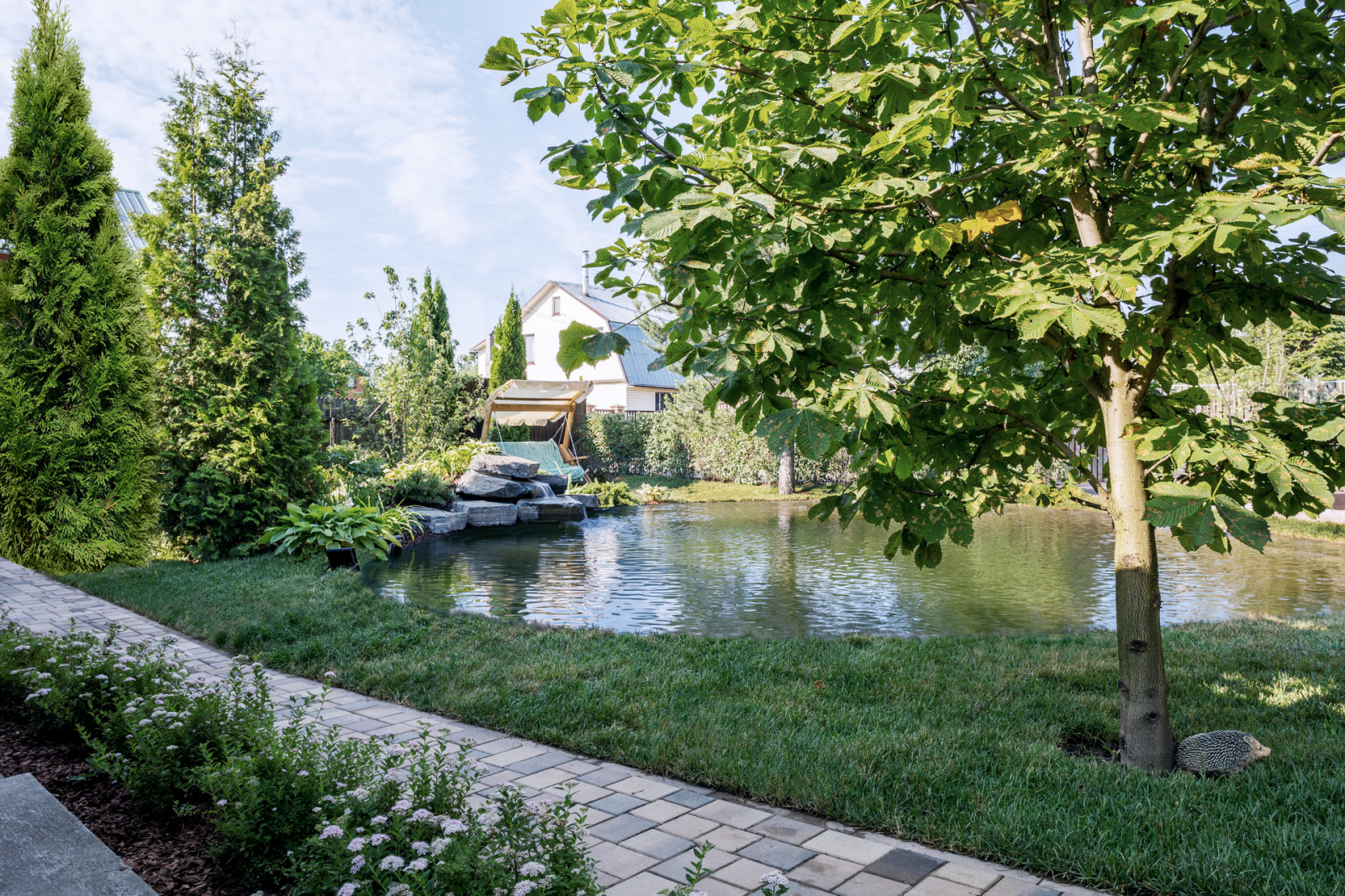 Обложка проекта: Программа "Дачный ответ на НТВ" 2021