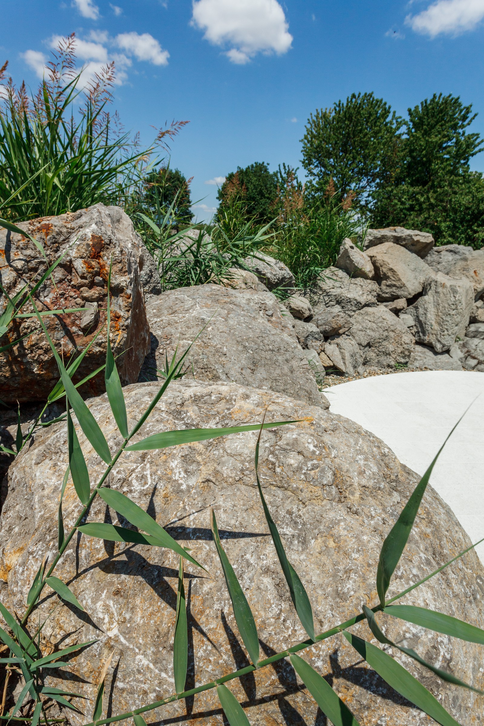 Бассейн в пригороде Краснодара