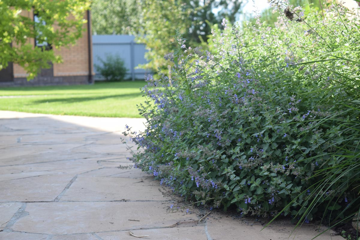 "Дом у озера"