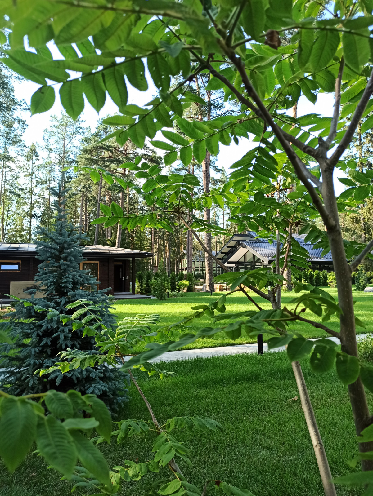 Ландшафт для дома в стиле Райта