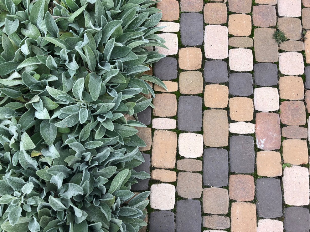 Сад "Каликат"