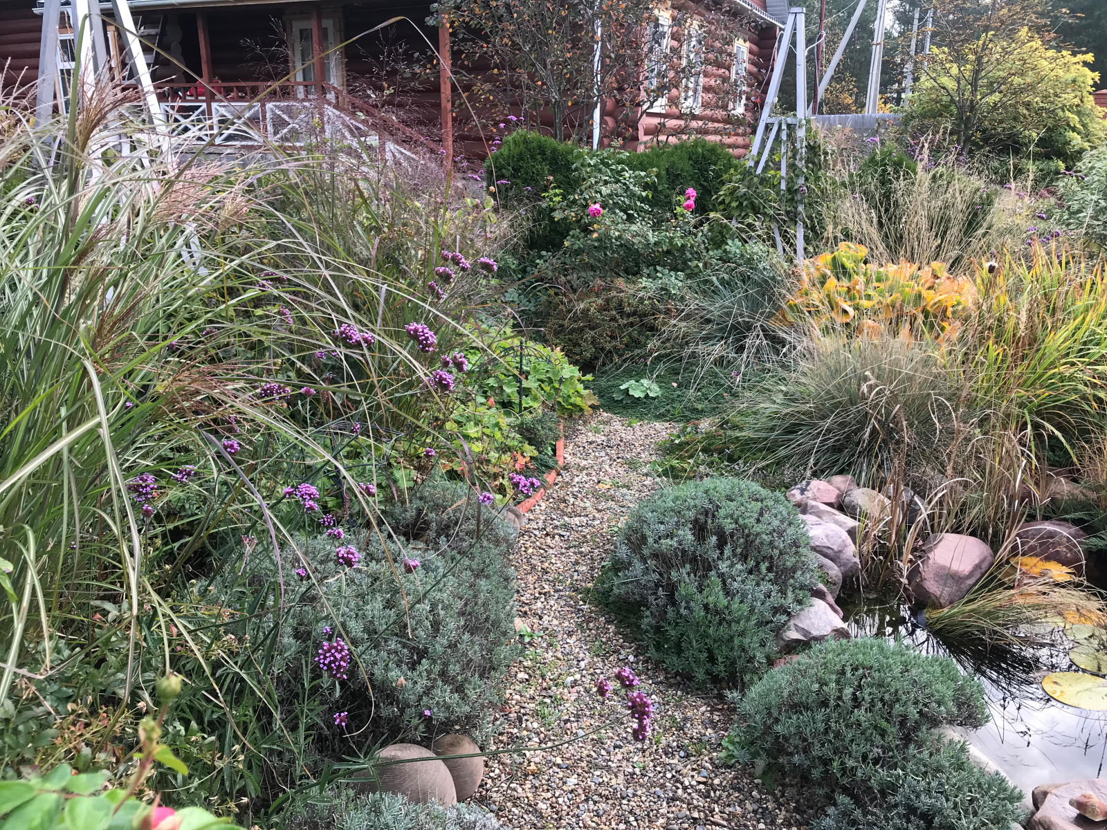 Сад на песках