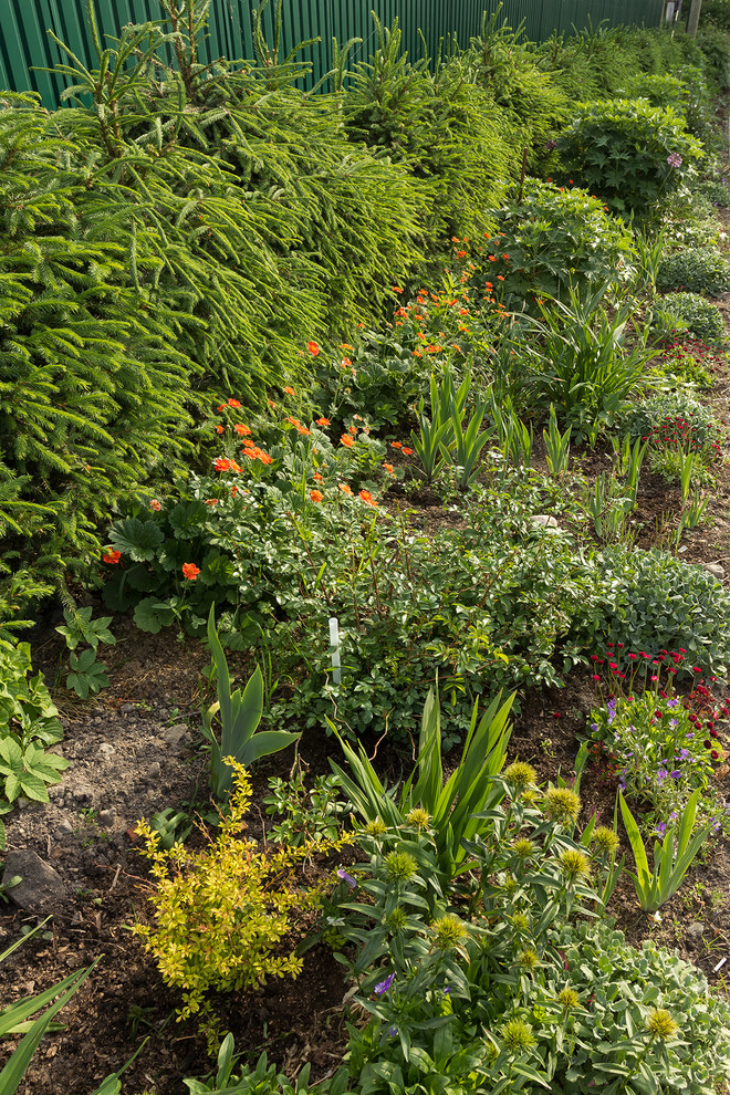 Живая изгородь