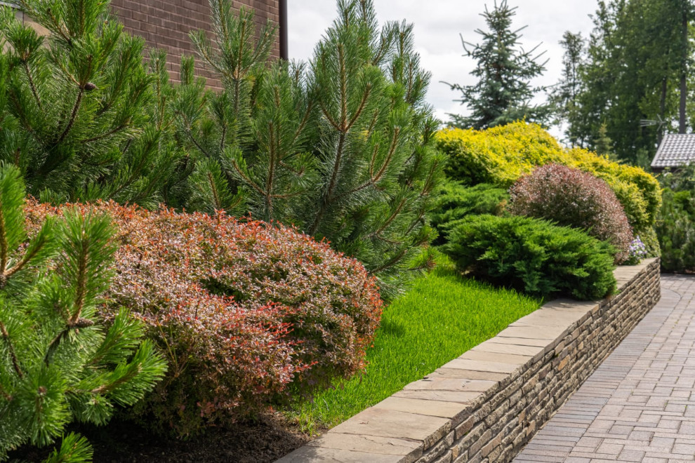 Балтийская Ривьера