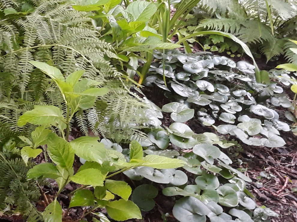 Палисадник с бетонными колодцами