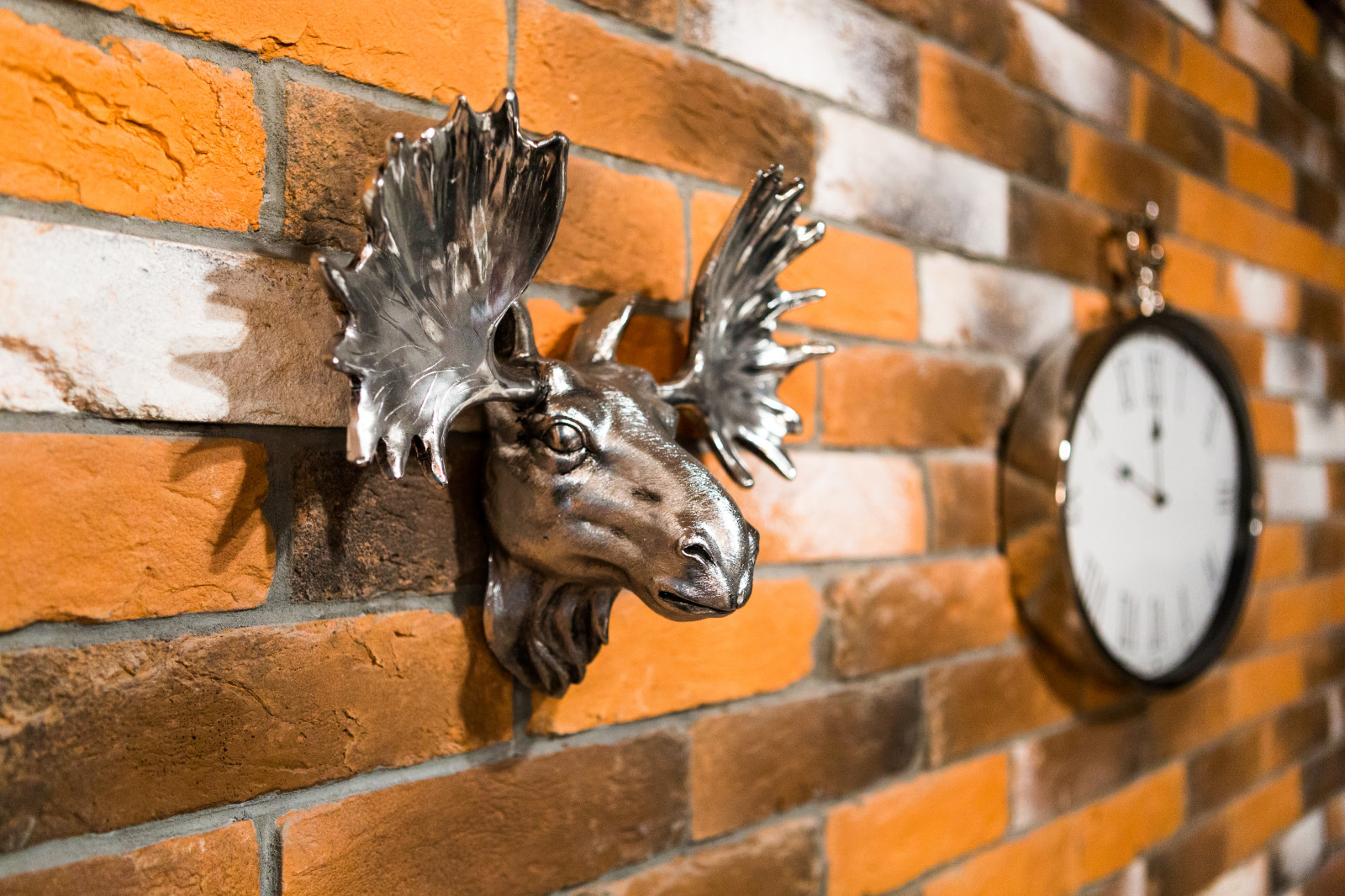 Телевизионный проект "Фазенда"