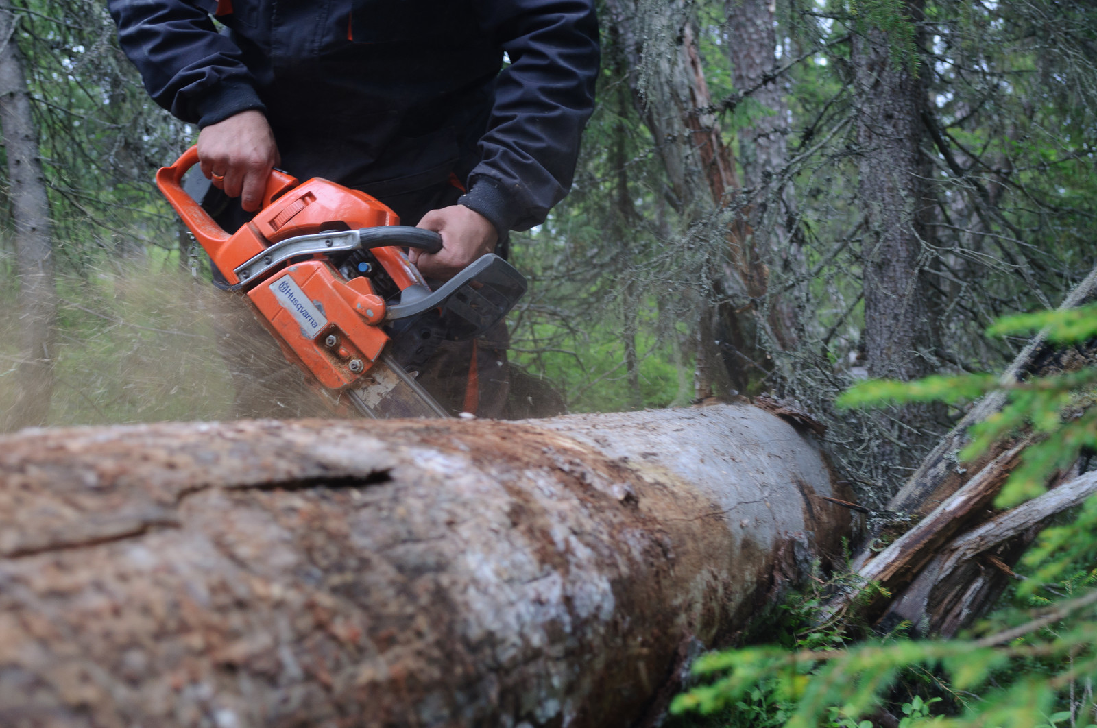 Производство и заготовка