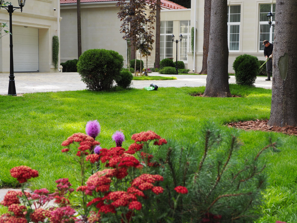 Проект Грибово