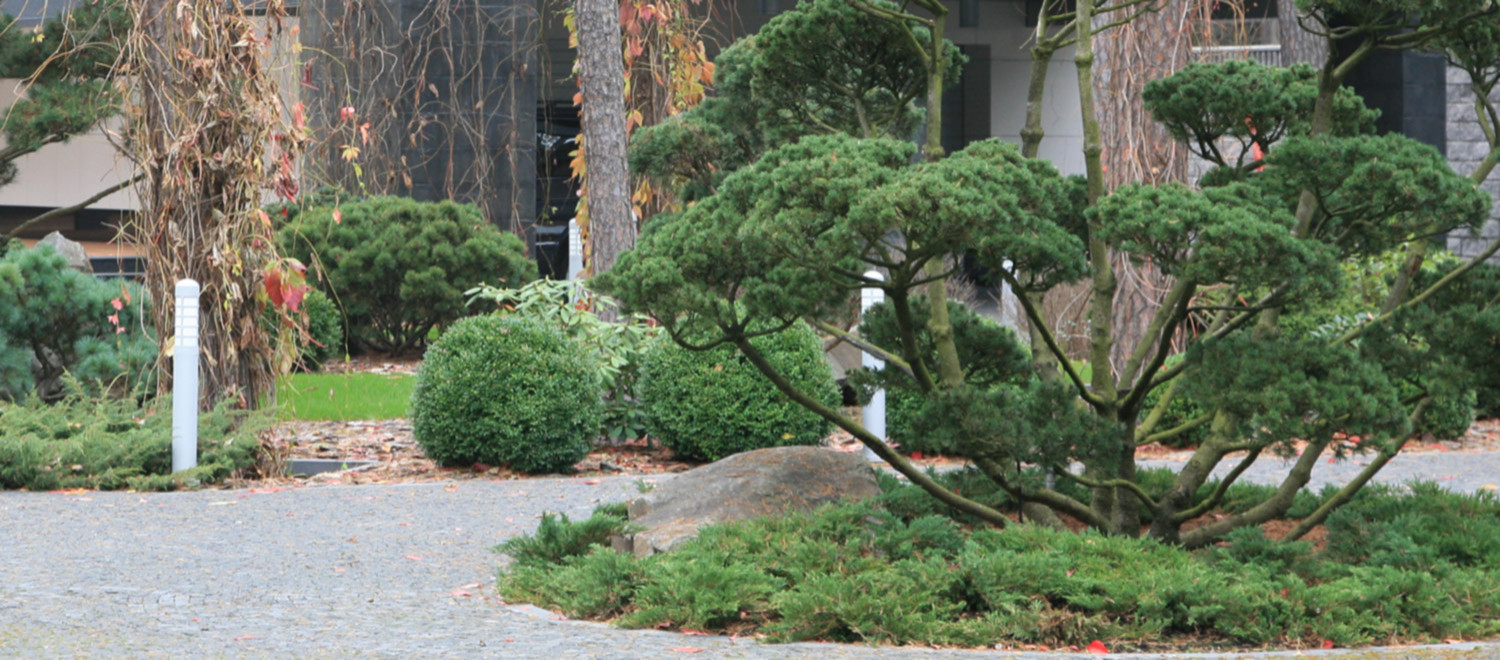 Ландшафтный сад в Горках 2