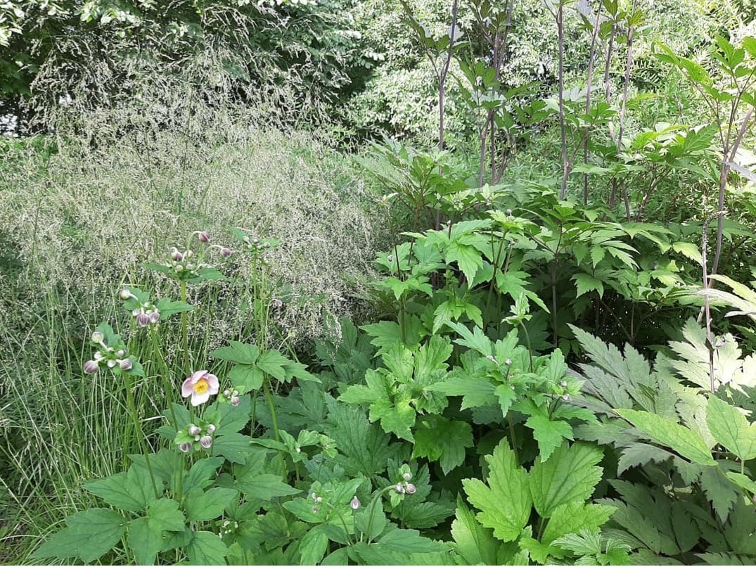 В духе ретро