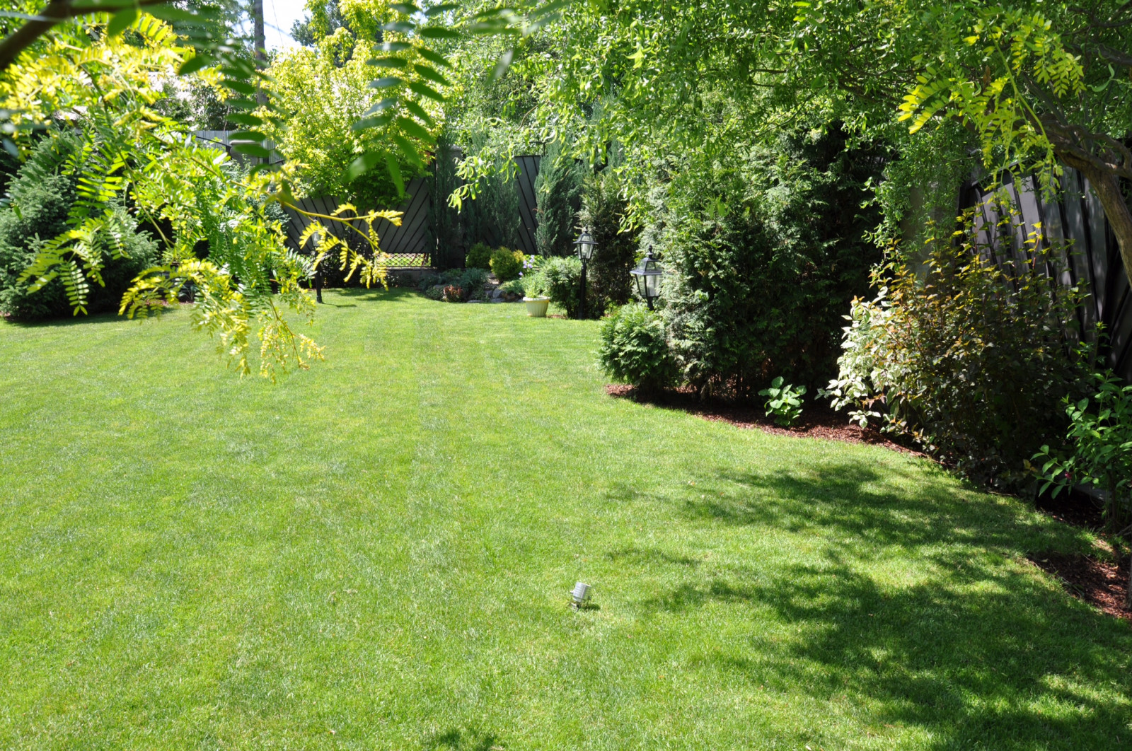 «Семейное гнездо»