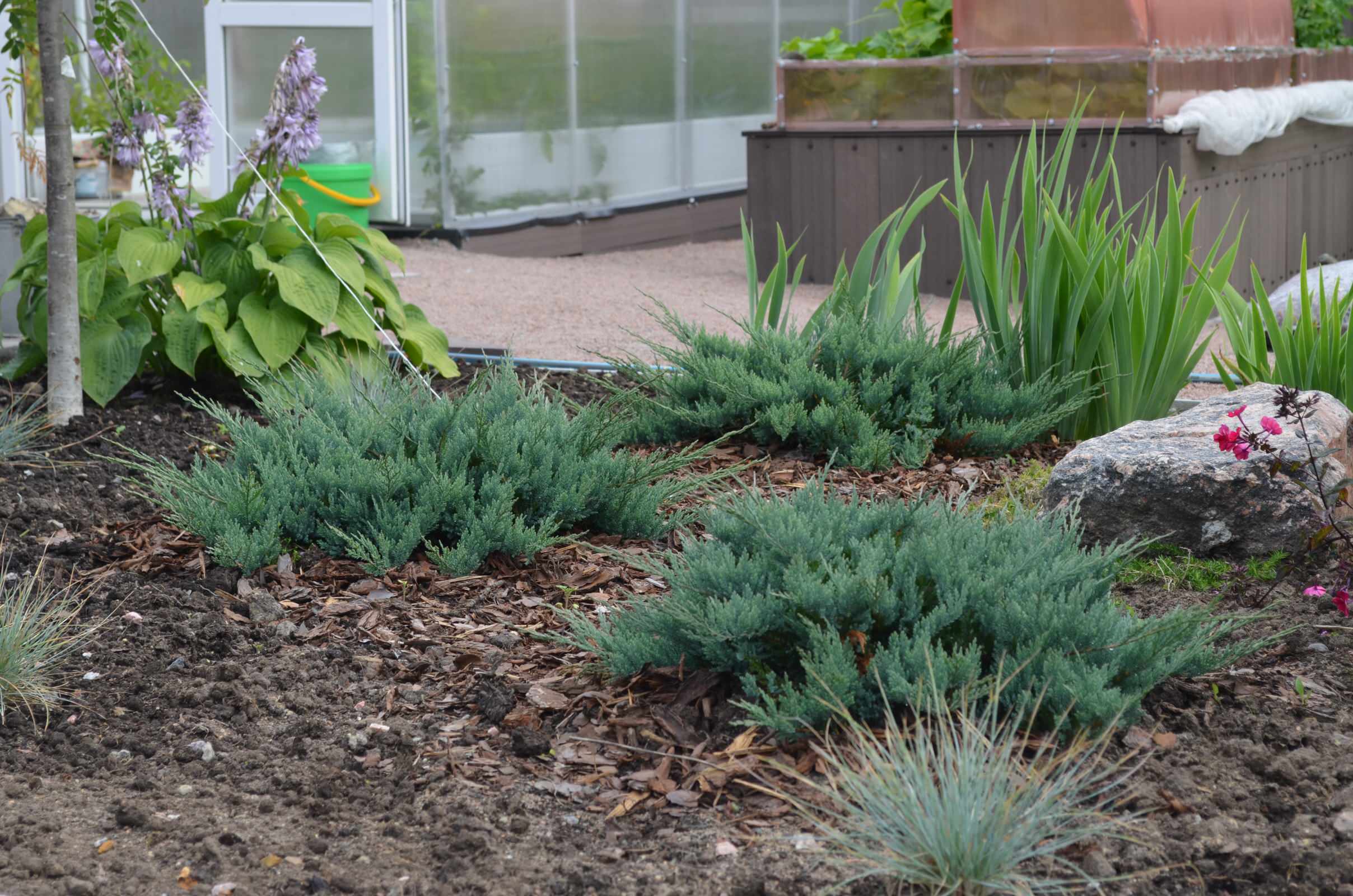 Воплощение проекта.Новосаратовка.