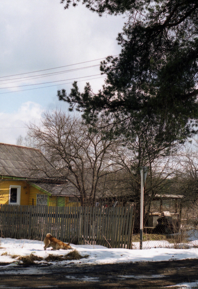 И все-таки уже весна: Календарь садовода на март
