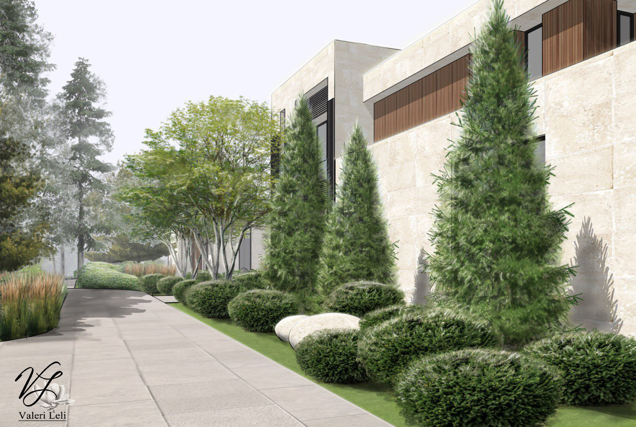 Обложка проекта: Современный лес