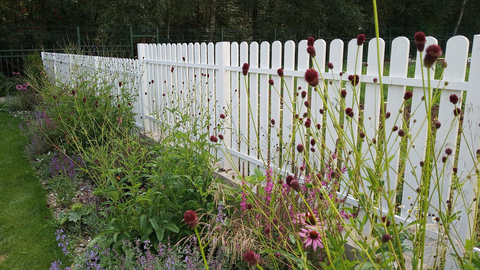 Английский садик