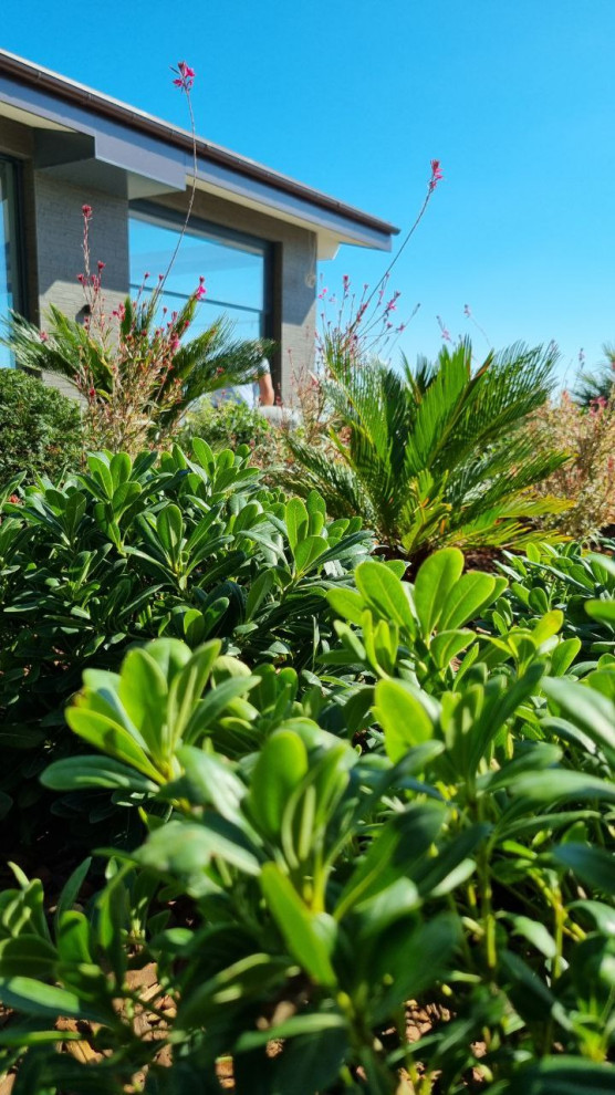 В лучах южного солнца.