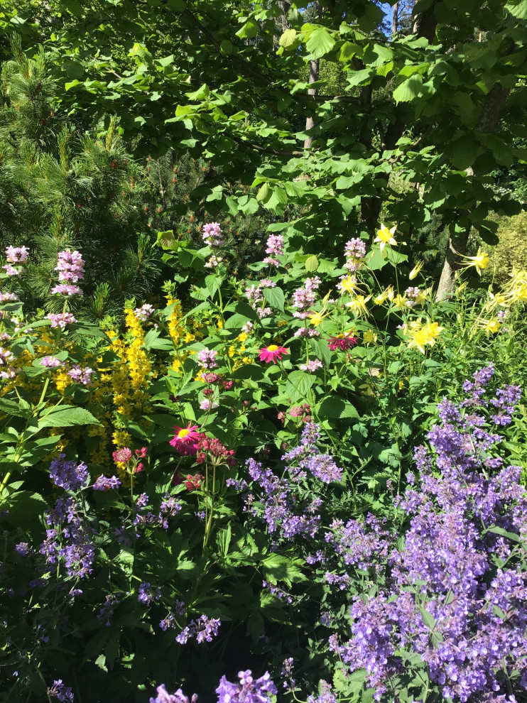 Цветники в стиле Nature garden