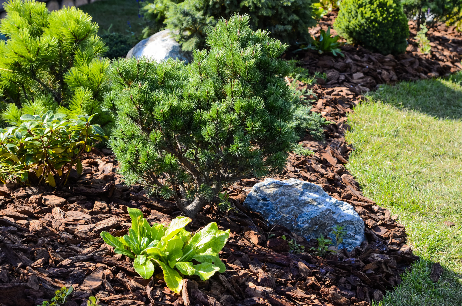 Избушка на опушке