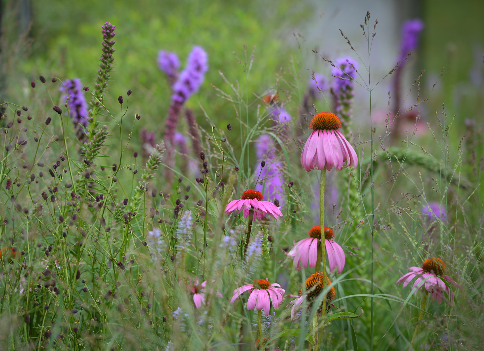 Калейдоскоп