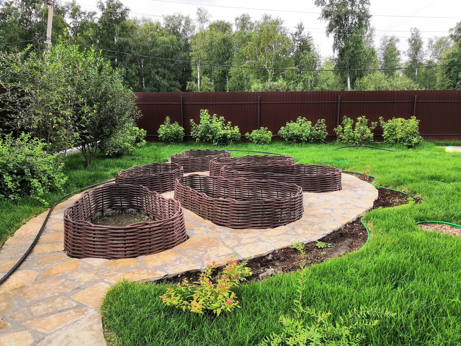 Обложка проекта: Полимерная лоза