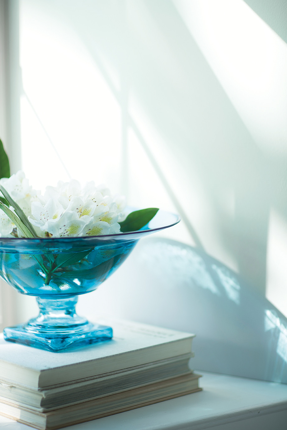 Цвет года 2017 (Shadow 2117-30)