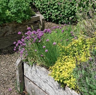 Мария Бахмутова