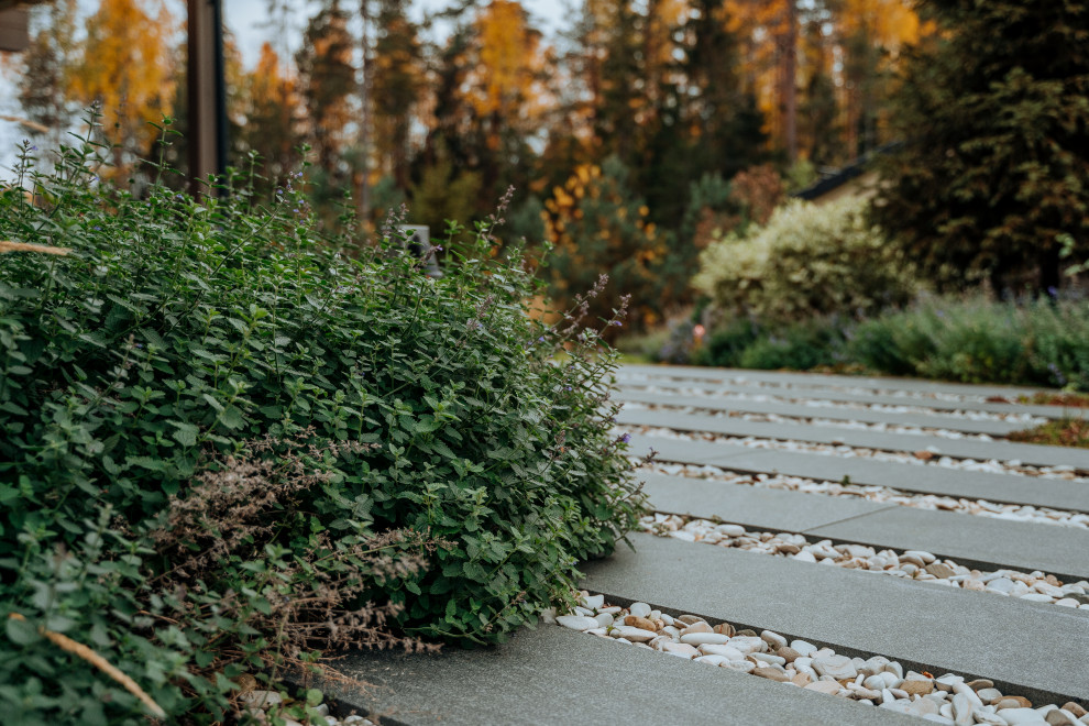 Северный сад