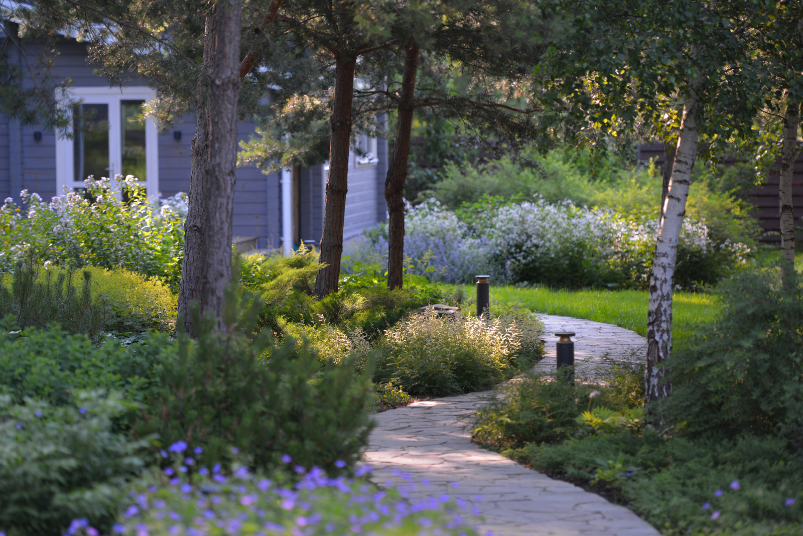 Обложка проекта: Озеро в лесу. Посёлок Приволье.
