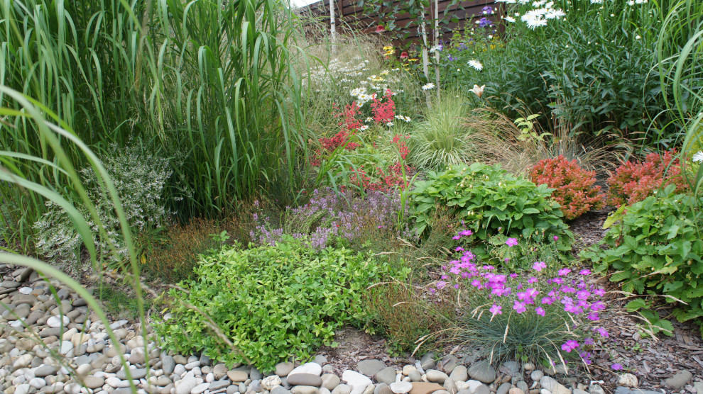 Прохорово лето 2017