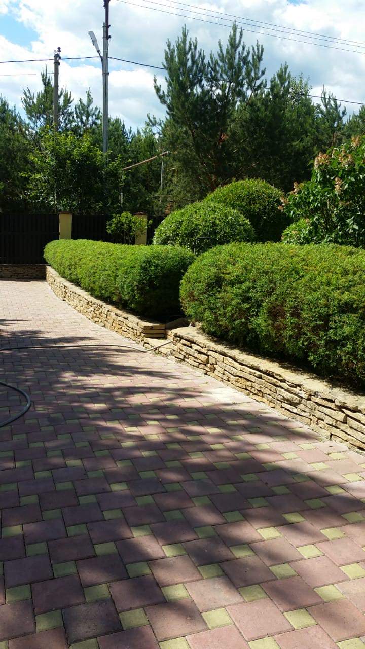 Искусство стрижки и формовки на наших объектах