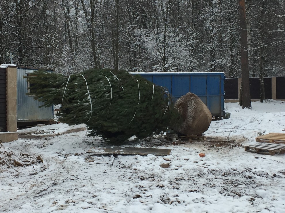 Крупномеры. Летом и зимой