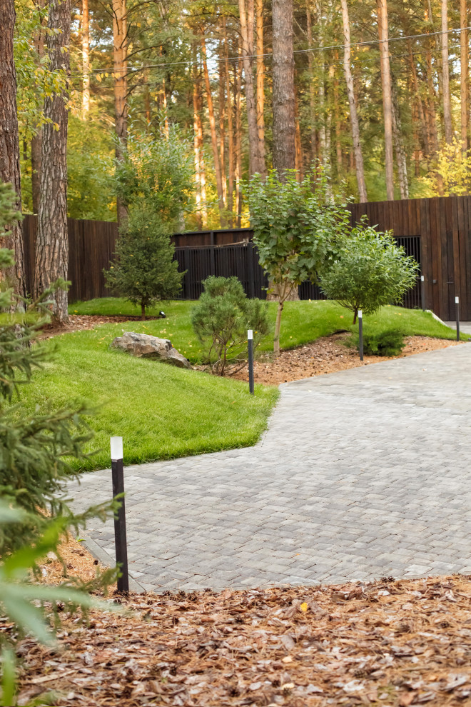 Ландшафт. Лесная погулка