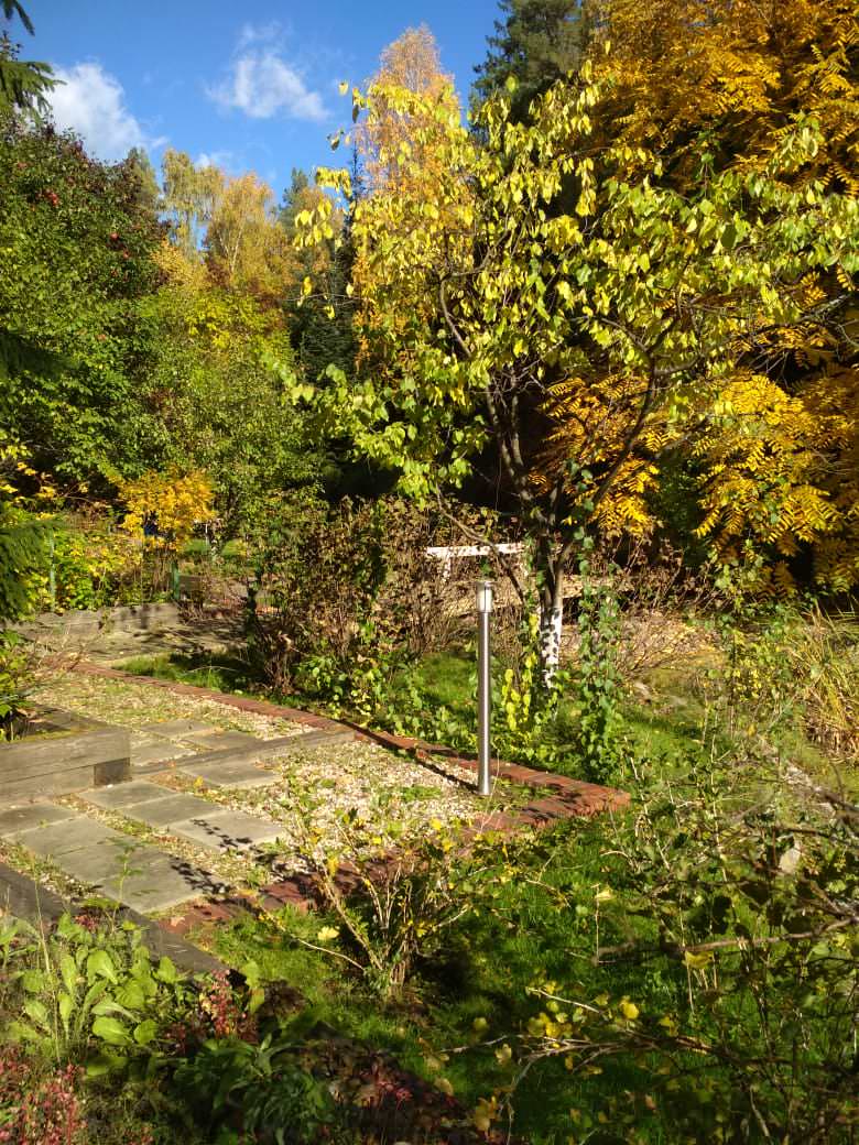 Сад с озером