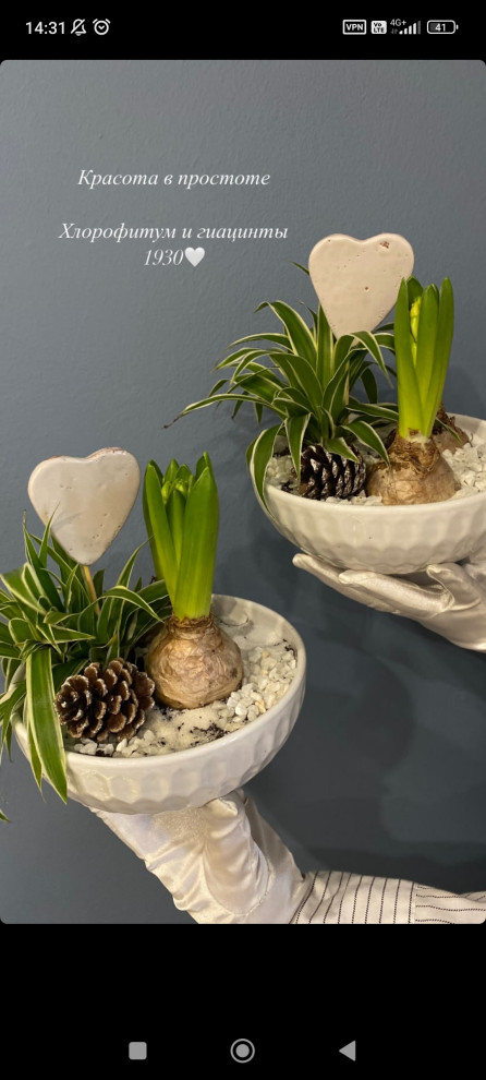 Ольга Русских