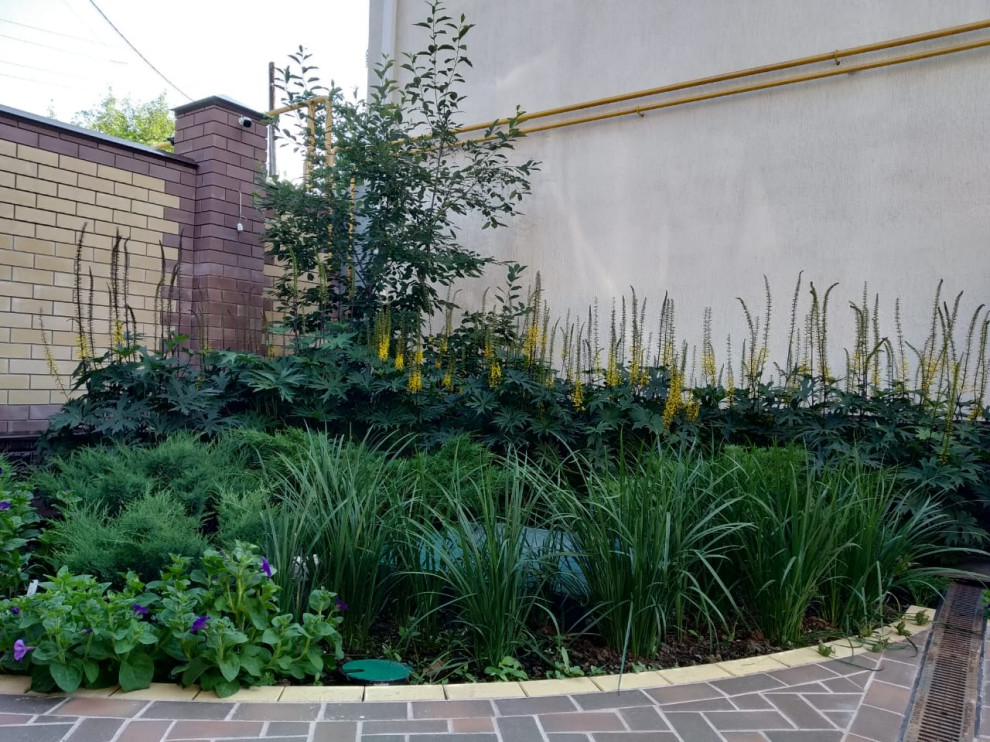 Сад в розовой дымке