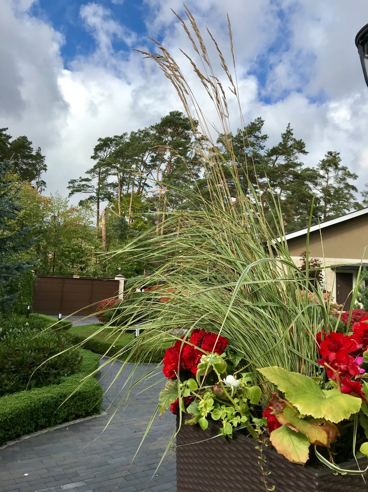 Зелёный лес