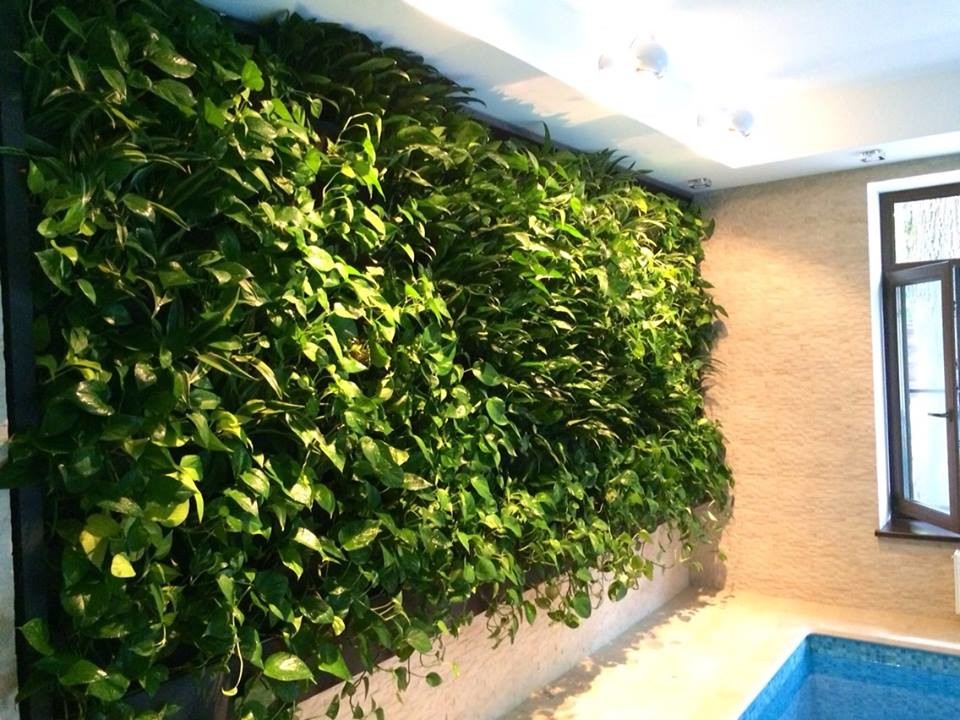 Домашний бассейн