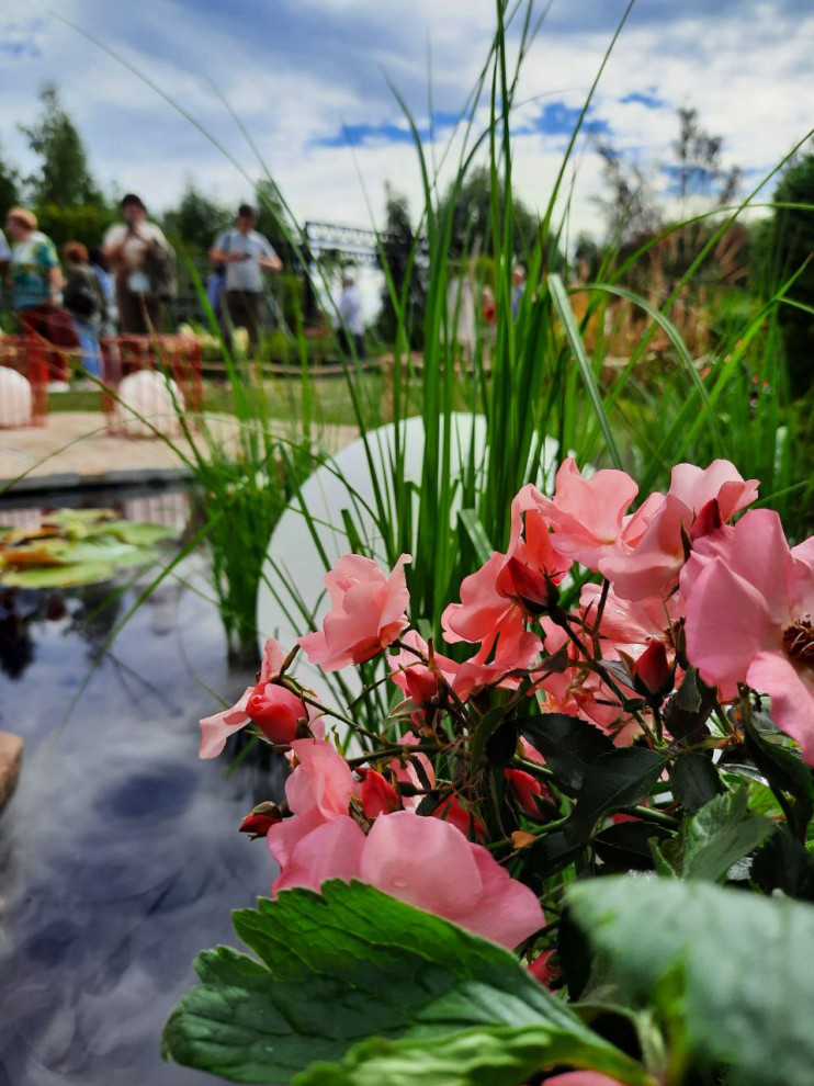 Выставочный сад на фестивале в Царицыне "Видение розы"