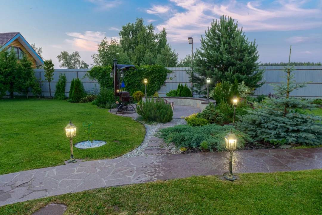 Обложка проекта: Сосновка