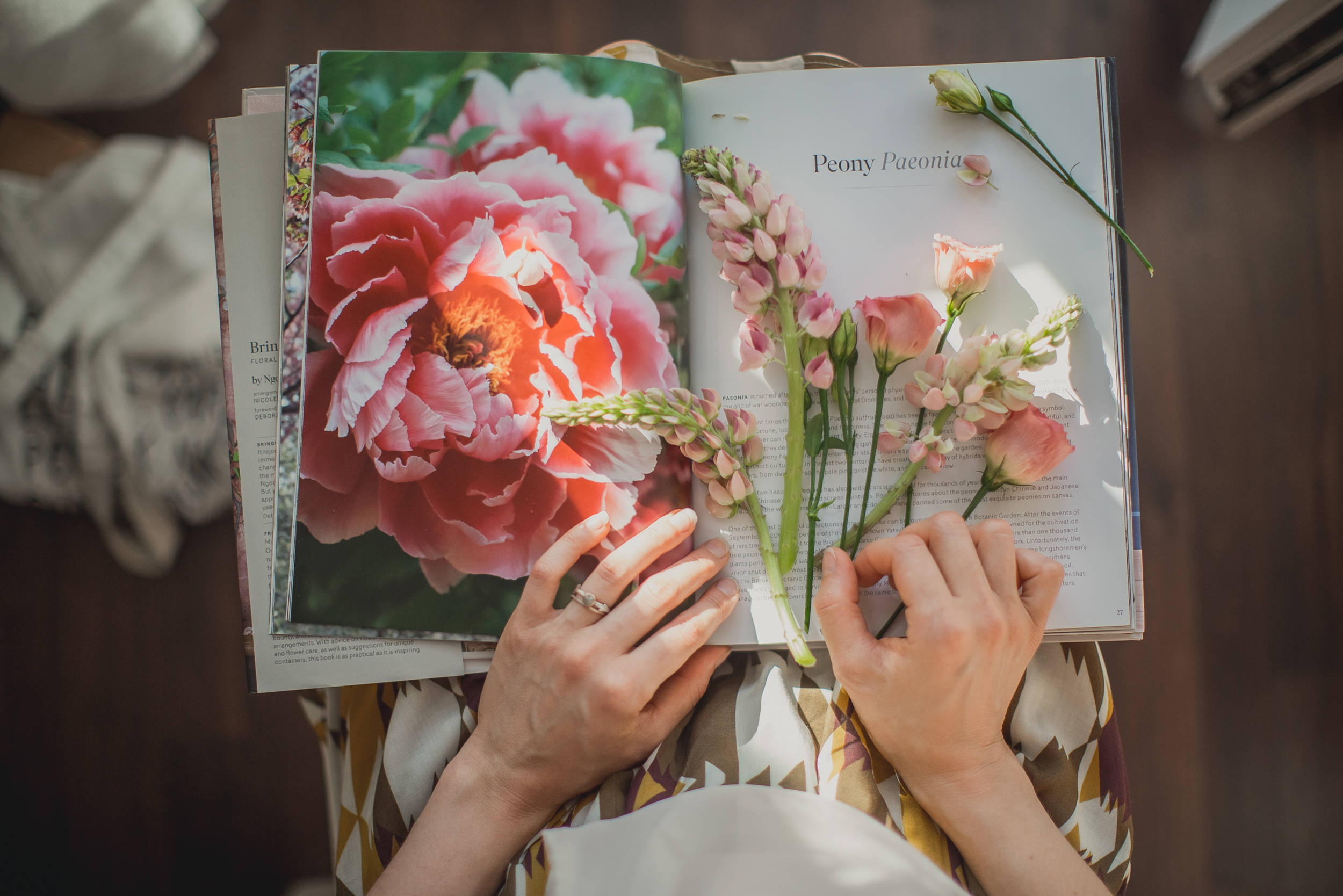 Своими руками: Как сделать гербарий – картину