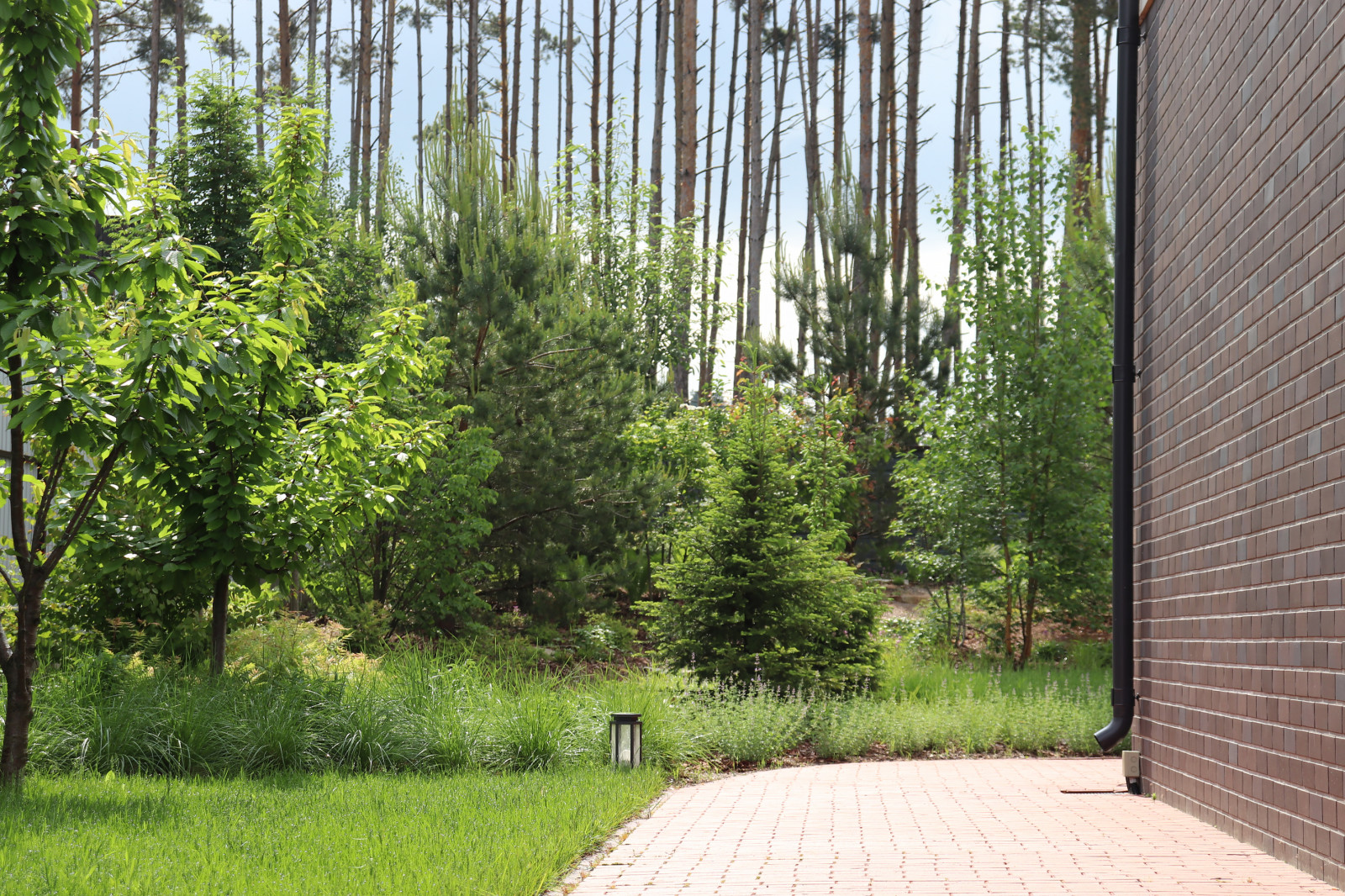 Русский лес