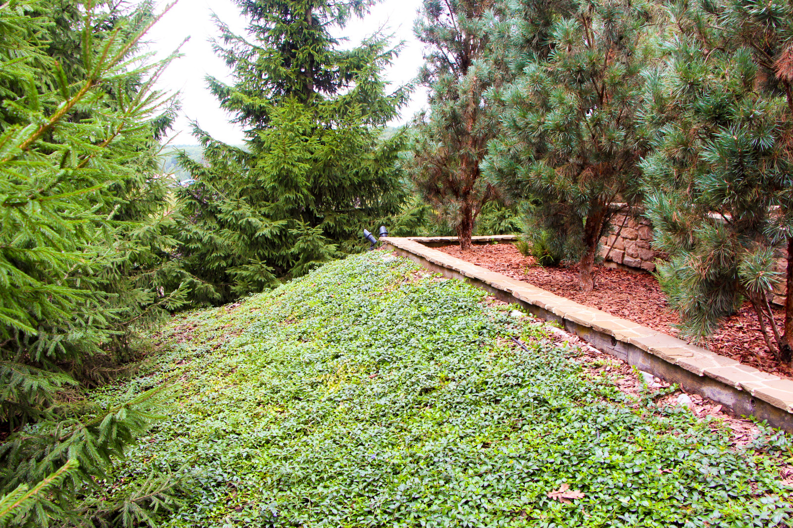 Лобаново, 2012-2021 гг.