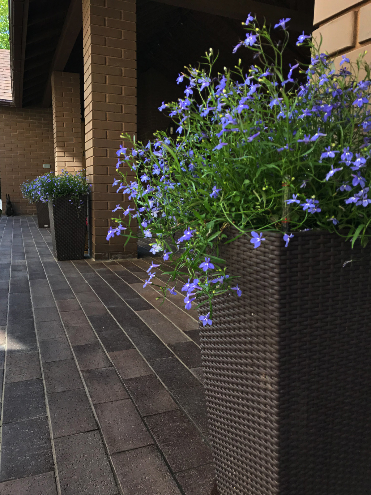 КП Княжье Озеро, 0,16 га